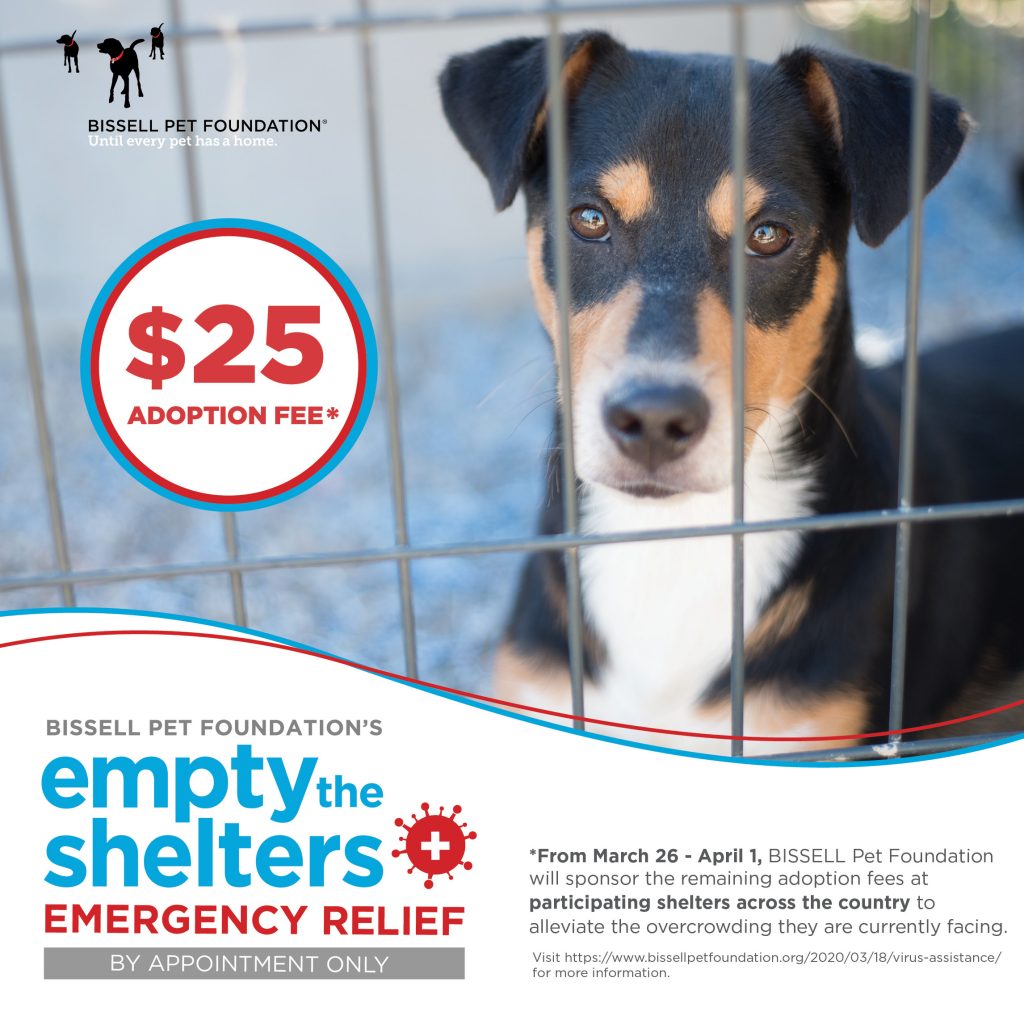 Young-Williams Animal Center to 'Empty the Shelters' with BISSELL Pet  Foundation - Young-Williams Animal Center
