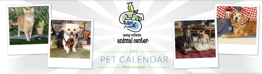 2021-pet-calendar-contest-young-williams-animal-center