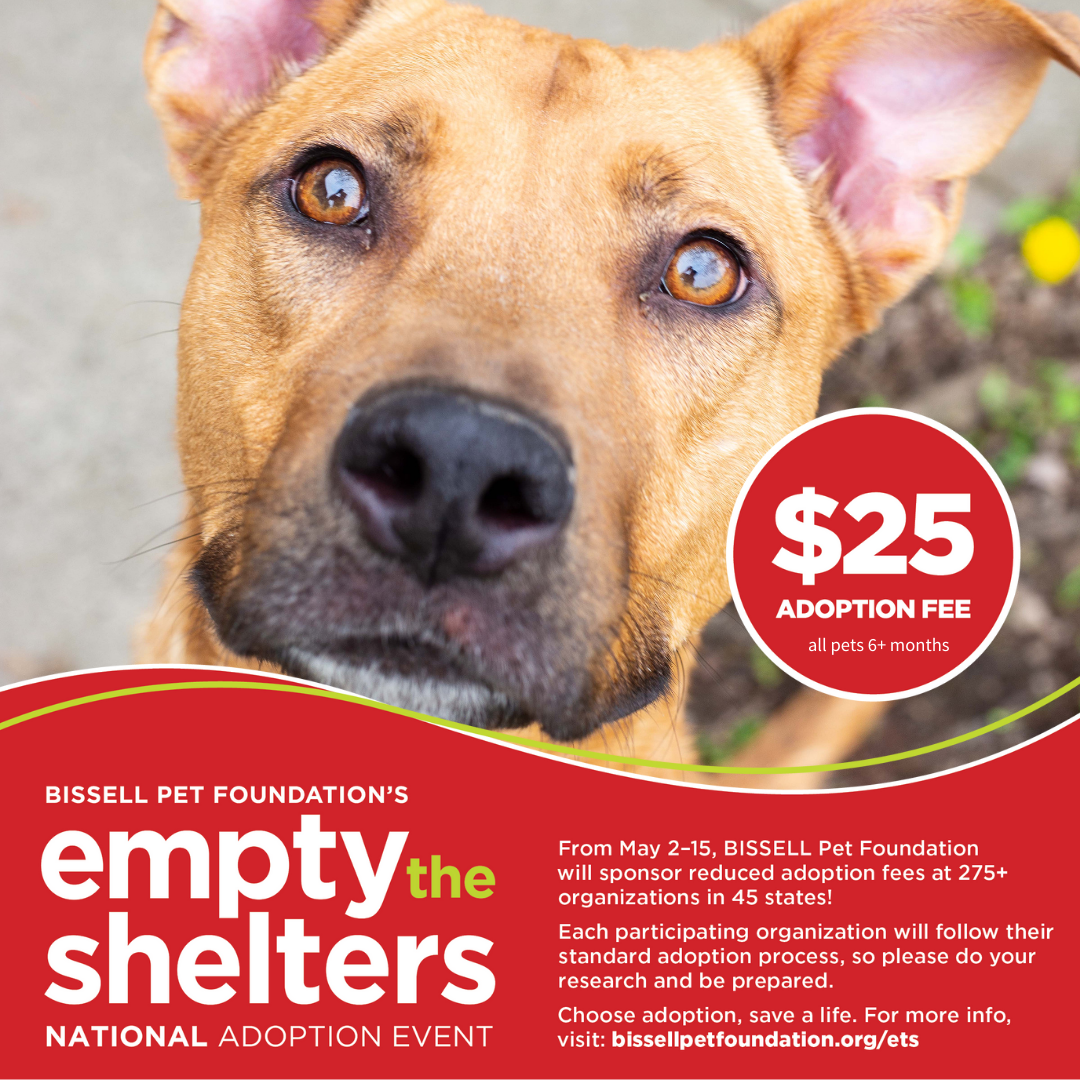 Featured image for “$25 Adoptions Thanks to the Bissell Pet Foundation “Empty the Shelters” Event!”
