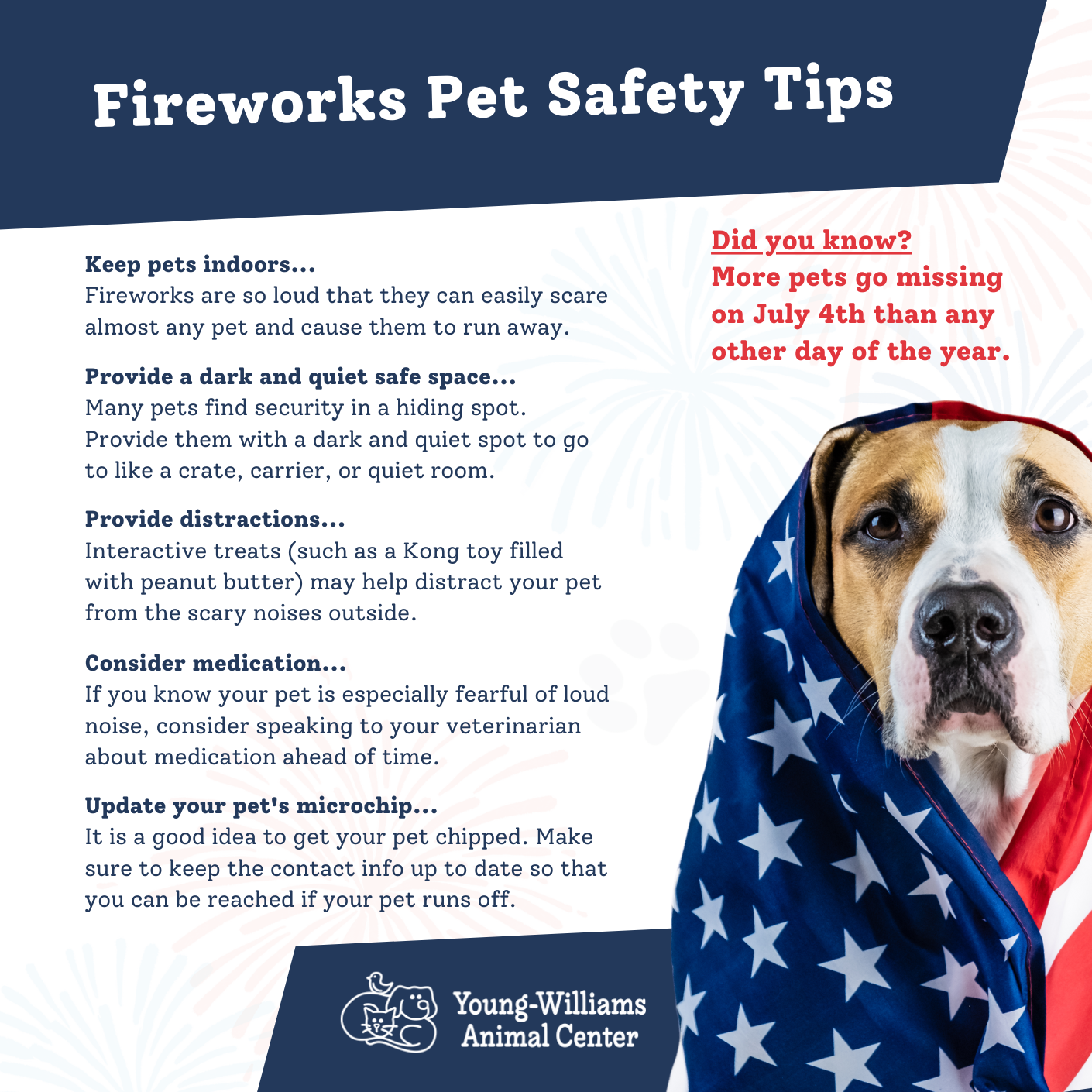 Featured image for “Protect your pet this July Fourth”