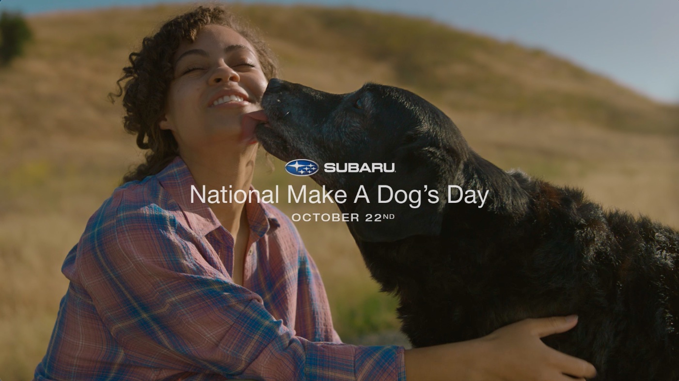 Featured image for “Help us Make a Dog’s Day this October with Subaru”