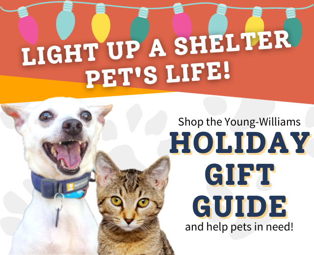 Featured image for “Holiday Gift Guide to Support Pets”
