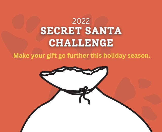 Featured image for “Help Young-Williams Meet Its 2022 Secret Santa Challenge”