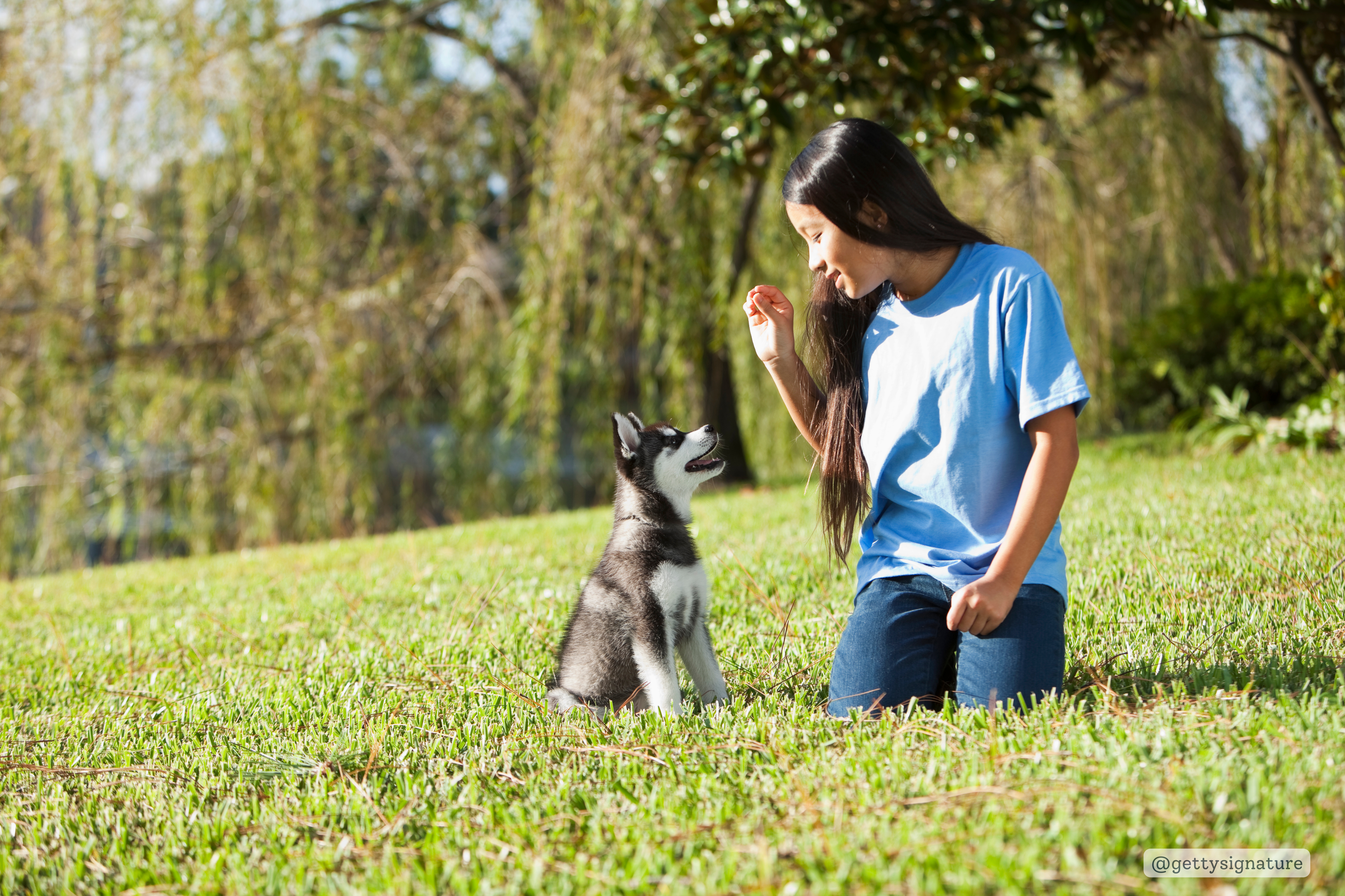 young woman holding a treat while an adorable puppy sits