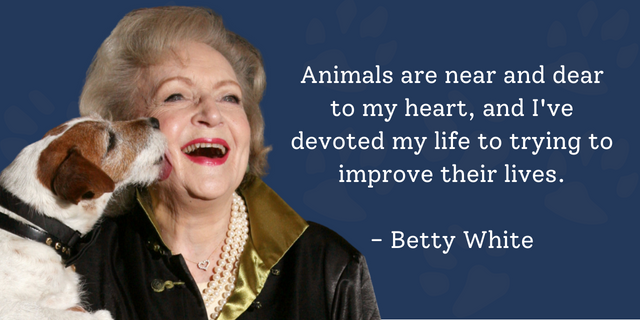 Featured image for “Honoring Betty White’s incredible legacy”