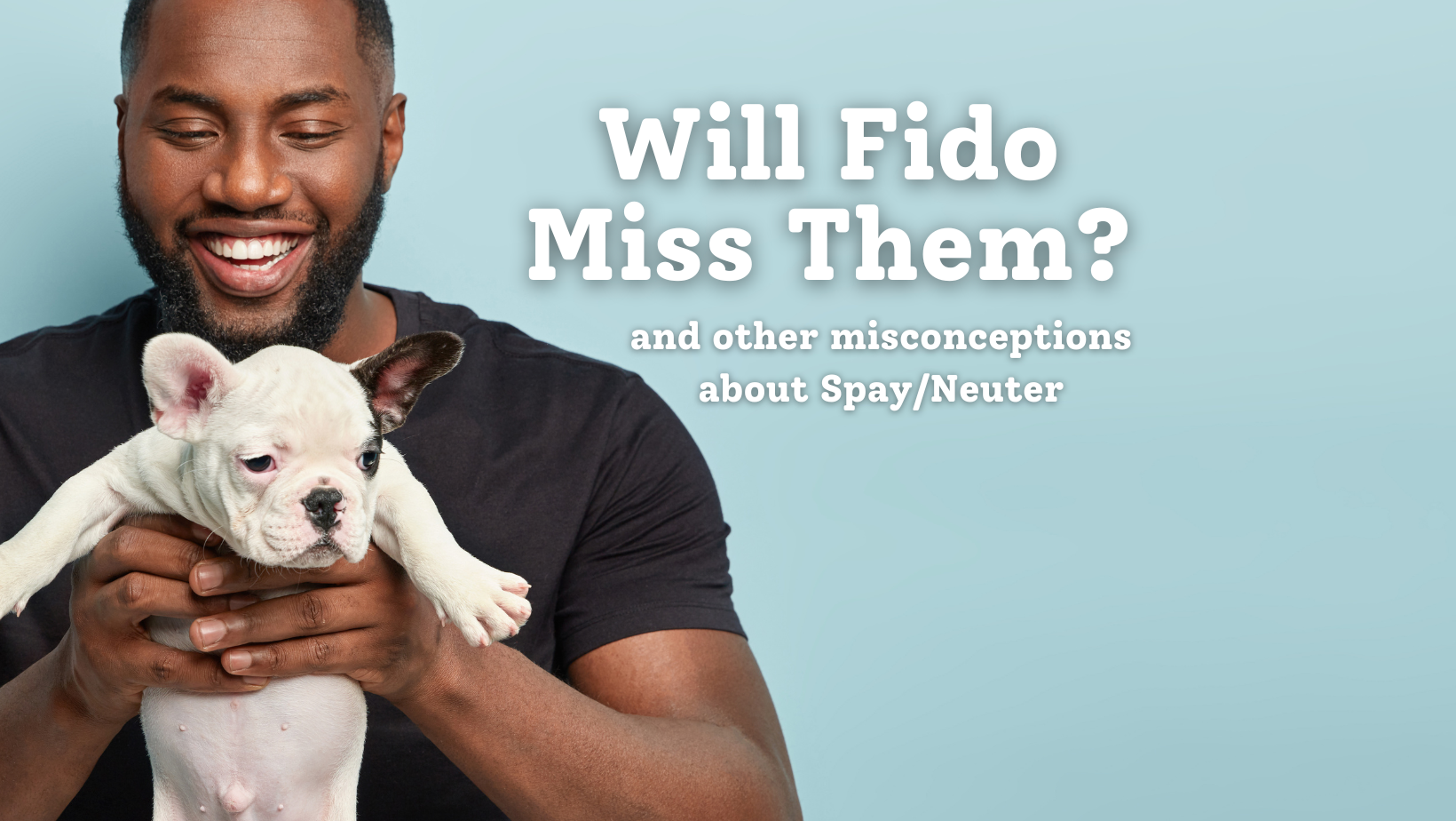 Featured image for “Will Fido Miss Them?”