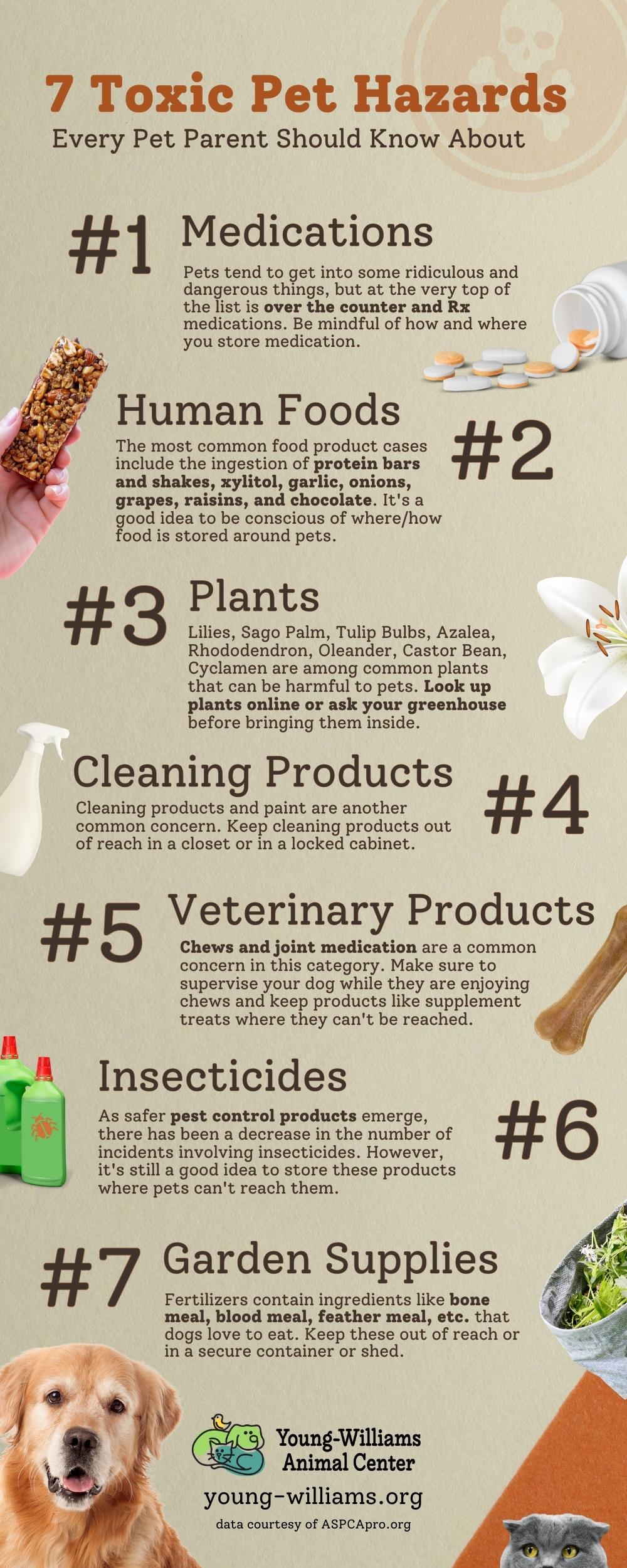 Seven Toxic Pet Hazards Every Pet Parent Should Be Aware Of Young 