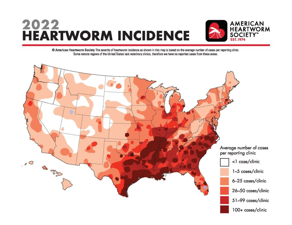 Heartworms is there a risk? YoungWilliams Animal Center