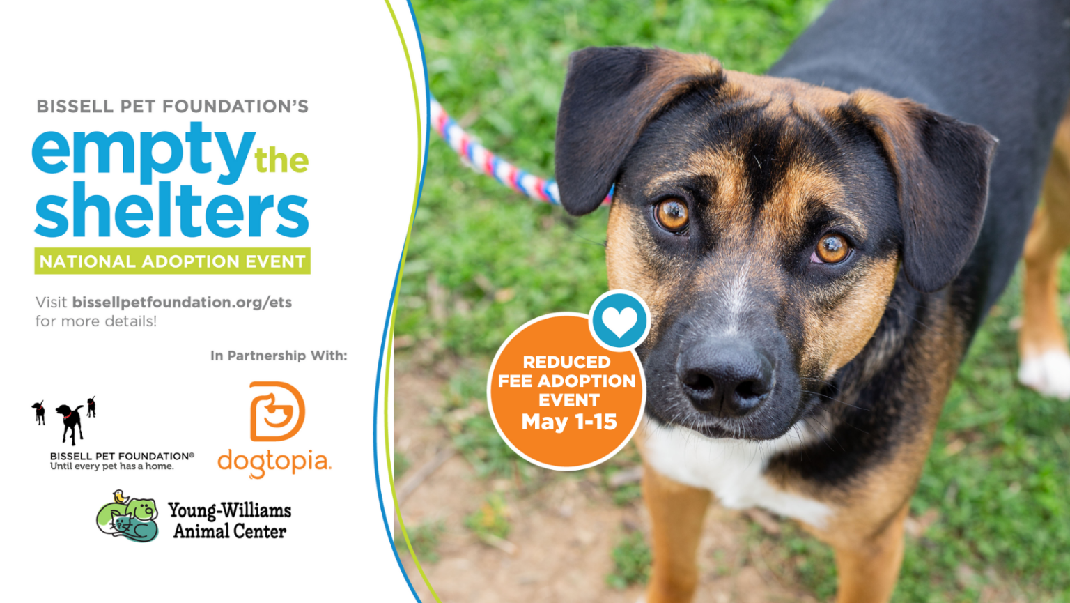 BISSELL Pet Foundation ‘Empty the Shelters’ Spring Adoption Event ...