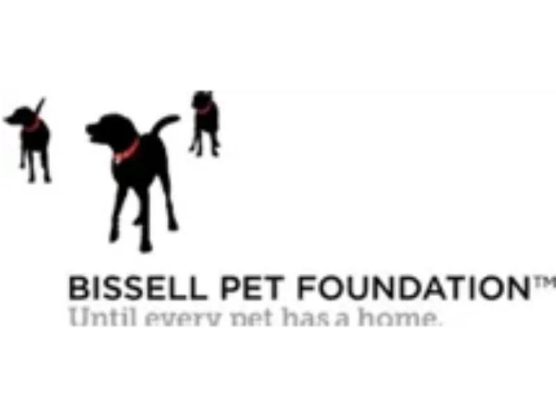 Featured image for “Bissell Pet Foundation”