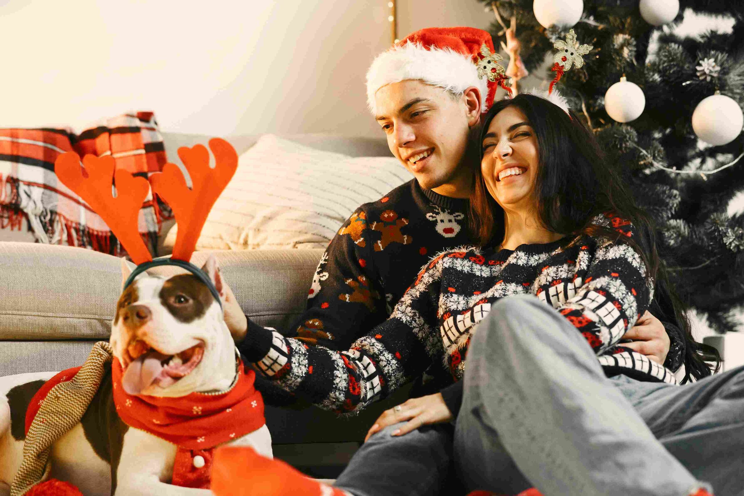 Featured image for “Your Guide to a Pet-Friendly Holiday Celebration”