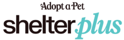 Shelter Plus